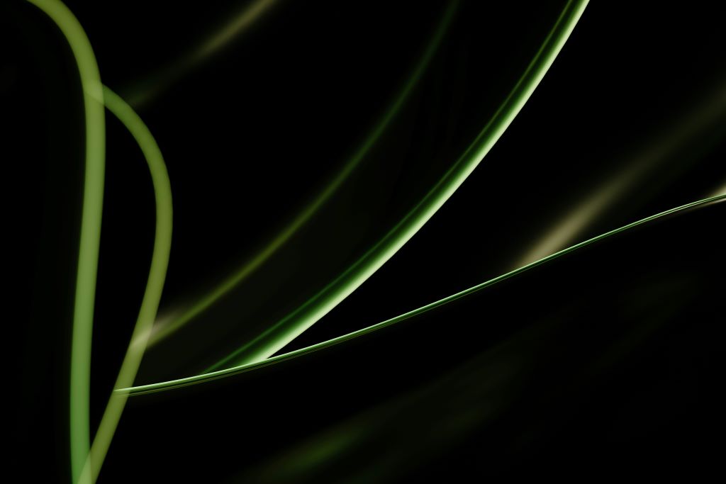 New Collection Launch